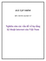 tiểu luận nghiên cứu các vấn đề về hạ tầng kỹ thuật internet của việt nam