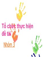 Tổ chức thực hiệnđề tài potx