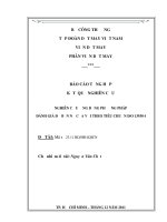 Nghiên cứu ứng dụng phương pháp đánh giá độ bền nổ của vải theo tiêu chuẩn ISO 13938 1