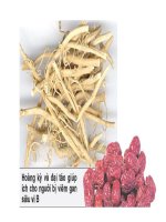 Hoàng kỳ tẩm bổ có sự phối hợp như thế nào? ppt