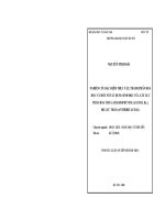 Nghiên cứu đặc điểm thực vật, thành phần hoá học và một số tác dụng sinh học của cây Lục thảo hoa thưa (Chlophytum laxum R. Br.), họ Lục thảo (Anthericaceae)