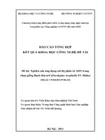 Nghiên cứu phát triển và ứng dụng chỉ thị phân tử ADN trong chọn giống bạch đàn urô (educalyptus urophylla ST  blake)