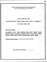 Nghiên cứu mô hình SBR kết hợp giai đoạn khử nitrat trong xử lý nước thải bằng phương pháp sinh học hiếu khí