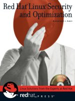 red hat linux security and optimization