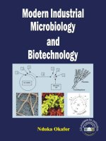 modern industrial microbiology and biotechnology