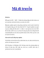 Mã di truyền potx