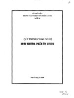 Qui trình công nghệ nuôi thương phẩm ốc hương