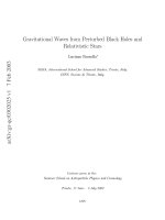 gravitational waves from perturbed black holes and relativistic stars