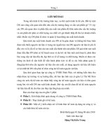 đề tài “kế toán nguyên vật liệu - công cụ dụng cụ trong doanh nghiệp” tại công ty tnhh đinh phát