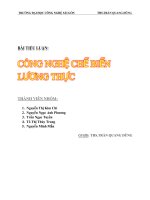 công nghệ chế biến lương thực