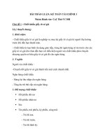 BÀI THẢO LUẬN kế TOÁN tài CHÍNH