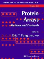 protein arrays, methods and protocols