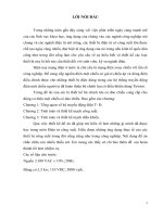 thiết kế bộ chỉnh lưu có đảo chiều cung cấp cho động cơ điện một chiều có đảo chiều