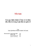 Tiểu luận: Các quy định chính về bảo vệ và thúc đẩy đầu tư trong Luật đầu tư quốc tế ppt