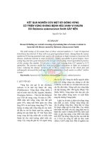 Kết quả nghiên cứu một số giống vừng có triển vọng kháng bệnh héo xanh vi khuẩn do Ralstonia solannacerum Smith gây nên pptx