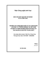 Nghiên cứu công nghệ sản xuất vắcxin chống dị ứng từ mạt bụi nhà acarien d  pteronyssinus (DP) và ứng dụng trong chẩn đoán, điều trị một số bệnh dị ứng  hen phế quản, viêm mũi dị ứng, viêm kết mạc   nghiên cứu giám định phân