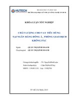 chất lượng cho vay tiêu dùng tại ngân hàng đông á phòng giao dịch krông pắc