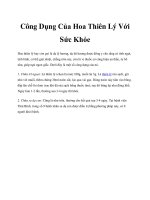 Công Dụng Của Hoa Thiên Lý Với Sức Khỏe pdf