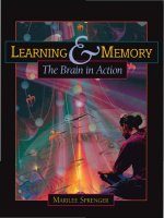learning and memory - the brain in action