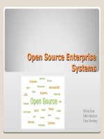 Open Source Enterprise System ppt