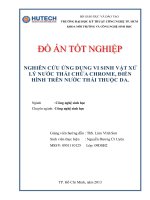 nghiên cứu ứng dụng vi sinh vật xử lý nước thải chứa chrome, điển hình trên nước thải thuộc da