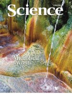 Tạp chí khoa học số 2008-05-23