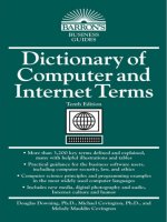 dictionary of computer and internet terms (2009) - (malestrom)