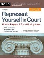 represent yourself in court, how to prepare and try a winning case 7th (2010)