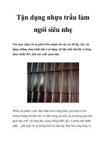 Tận dụng nhựa trấu làm ngói siêu nhẹ docx