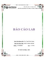 Báo cáo Lab: Tìm hiểu về mạng căn bản trong tiến trình Internet hoá