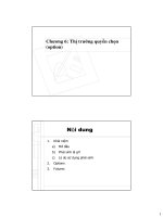 bài giảng thị trường quyền chọn (option)