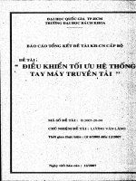 Điều khiển tối ưu hệ thống tay máy truyền tải