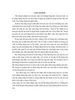 thực trạng và giải pháp thị trường bán lẻ hàng hoá ở nước ta trong những năm gần đây