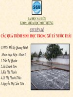 bài thuyết trình chuyên đề các quá trình sinh học trong xử lý nước thải