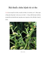 Bài thuốc chữa bệnh từ cỏ the doc