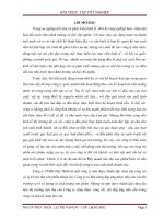 Phân tích tình hình tiêu thụ sản phẩm gạch và biện pháp đẩy mạnh tốc độ tiêu thụ sản phẩm gạch của công ty TNHH đại thịnh