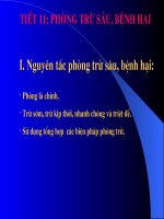 Giáo án bồi dưỡng công nghệ lớp 8 Phòng trừ sâu hại, bệnh hại