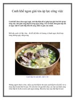 Canh khế ngon giải tỏa áp lực công việc pot