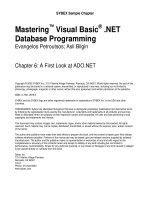 mastering vb.net database programming 2002