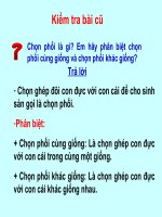 Giáo án bồi dưỡng tham khảo lớp 7 Tiết  32 Thức ăn vật nuôi