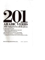  arabic verbs fully conjugated in all the forms