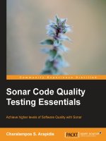 Sonar code quality testing essentials [electronic resource]   achieve higher levels of software quality with sonar