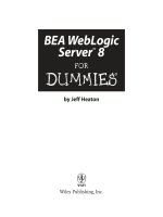 bea weblogic server 8 for dummies