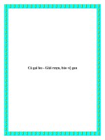 Cà gai leo - Giải rượu, bảo vệ gan doc