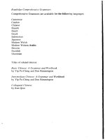 chinese a comprehensive grammar