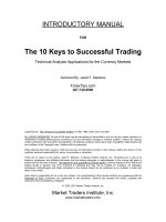 forex manual - 10 keys to successful trading