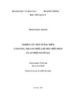 Nghiên cứu một số đặc điểm lâm sàng, X quang phổi, chỉ tiêu miễn dịch ở lao phổi người già