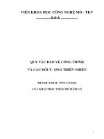 Chuyên Đề Dịch động trong khai thác mỏ ( quy tắc bảo vệ công trình và các đối tượng thiên nhiên  )