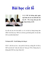 Bài học cắt lỗ docx