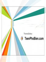 bài thuyết trình đại cương marketing & marketing đen